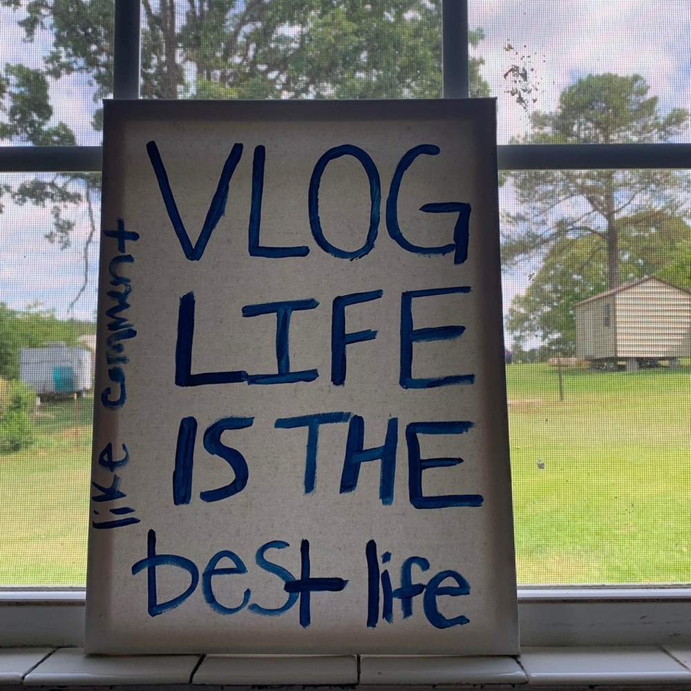 Vlog Life Picture